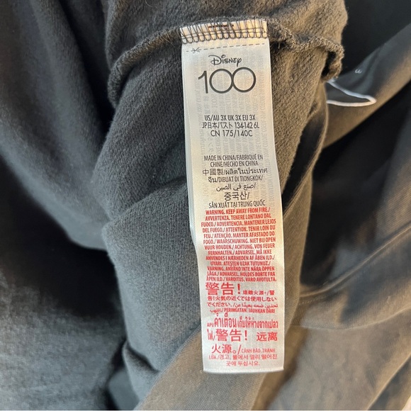 🧚Disneyland Grey Hoodie 3X - Picture 8 of 8
